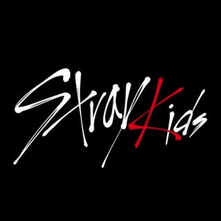 STRAY KIDS